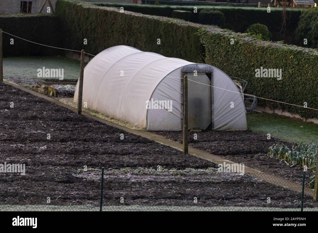 Ein typischer kleiner belgischer Küchengarten mit einem kleinen Plastikhaus darin im Winter. Es wächst noch kein Gemüse, aber der Garten ist schön Stockfoto