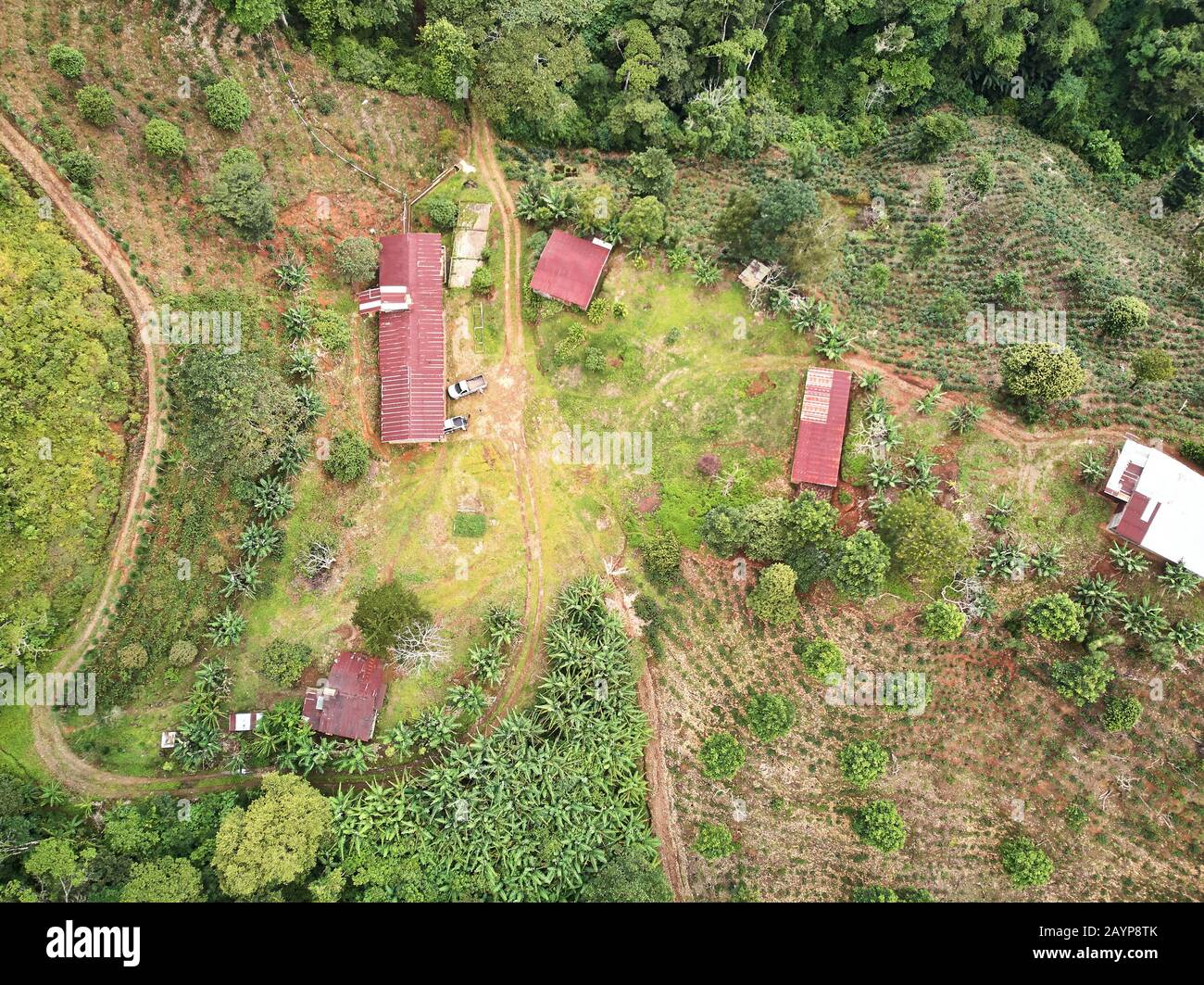 Landwirtschaftsbetrieb in grüner Natur mit Blick auf die Drohne Stockfoto