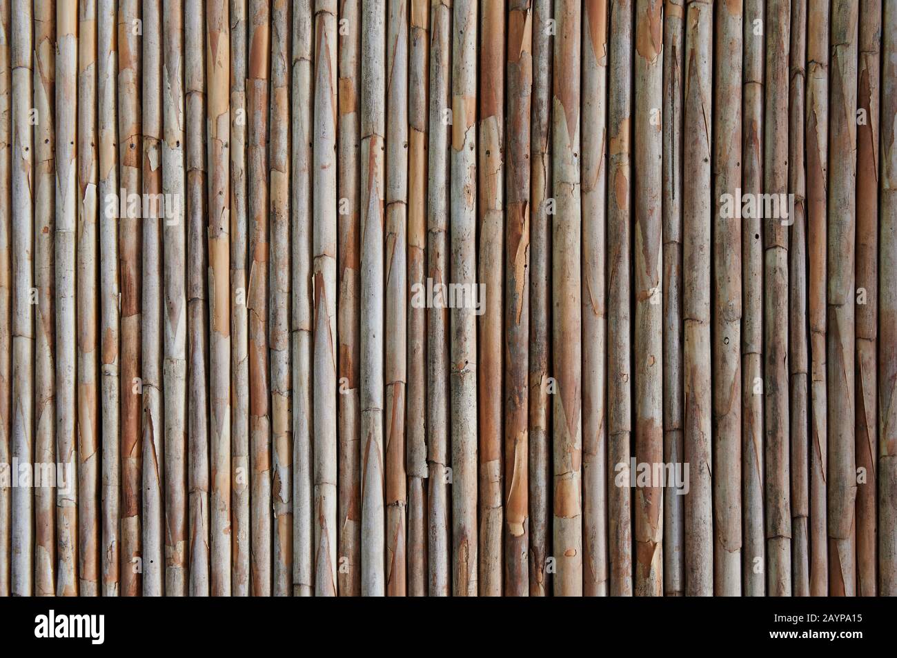 Bambusstab Hintergrund. Muster aus braunem Holzdach Stockfoto