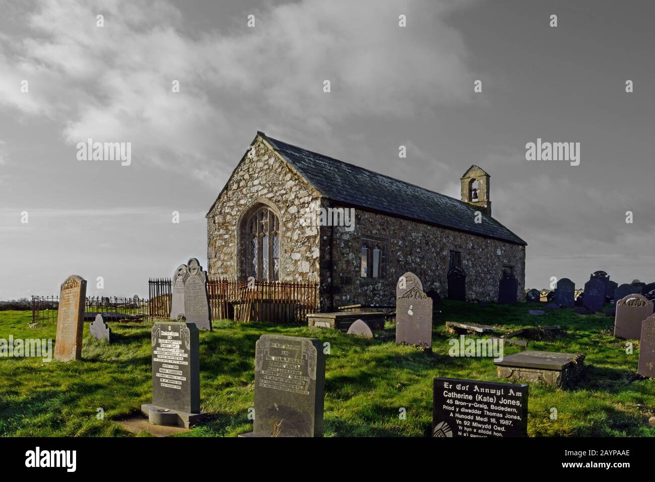 Die St Twrog's Church ist eine kleine, mittelalterliche Kirche in Bodwrog, Anglesey, Nordwales. Es wurde im späten 15. Jahrhundert zur Zeit von König Heinrich VII. Erbaut Stockfoto