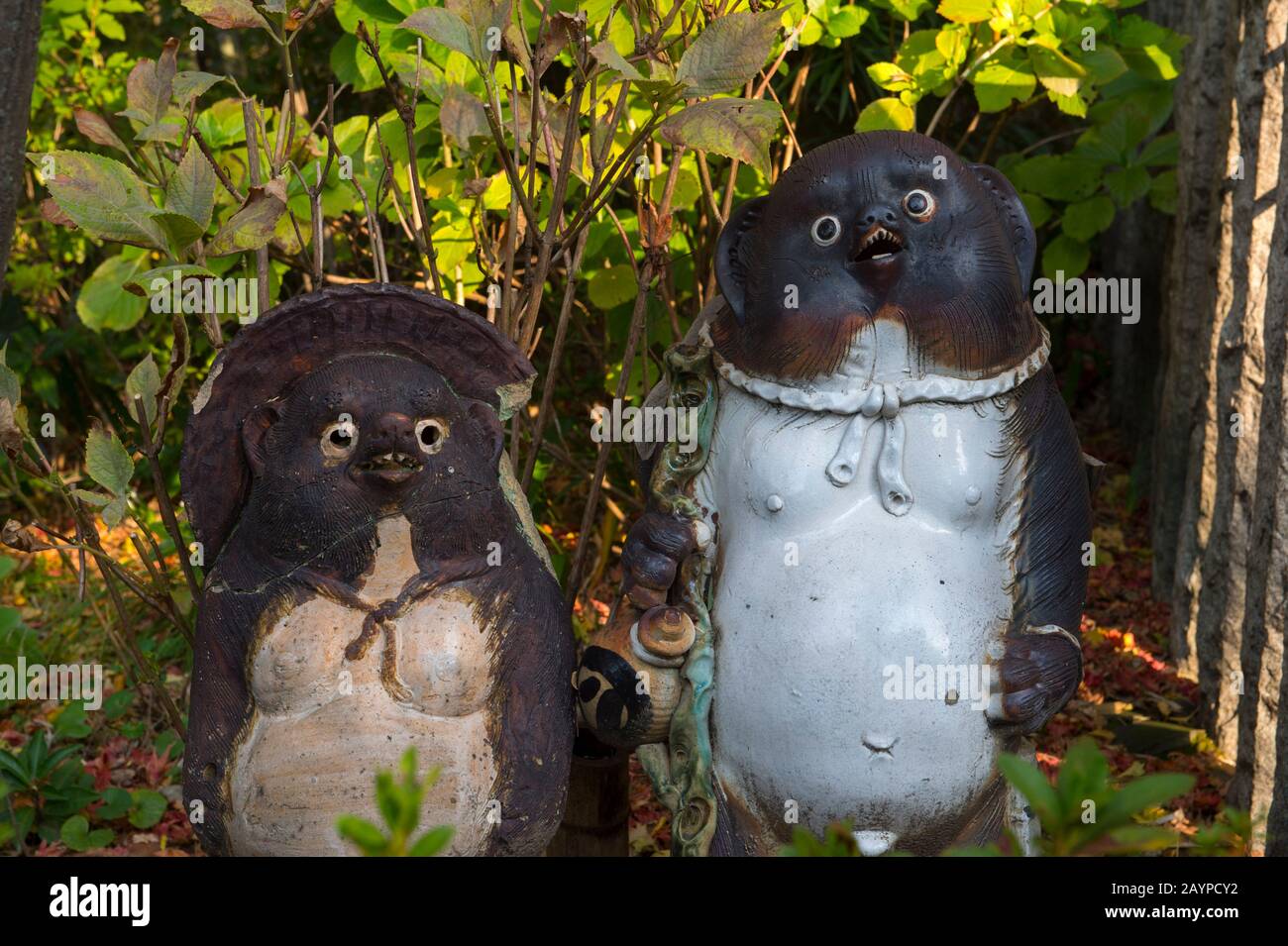 Japanische Waschbär-Hundestatuen im japanischen Garten eines Restaurants in Kyoto, Japan. Stockfoto