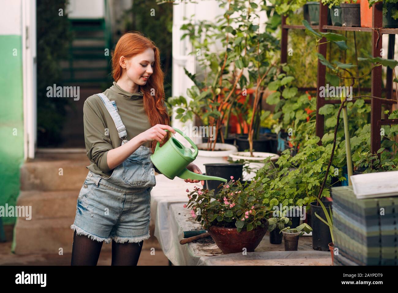 Gartenkonzept für den Hausbau. Junge süße Frau mit Gießkanne Pflanzen. Frühlingsheim Gartenanlage. Stockfoto