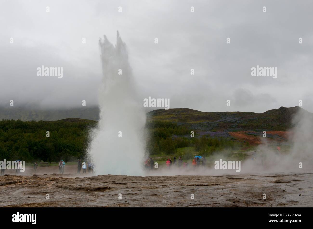 Der Ausbruch von Strokkur, einem der berühmtesten Geysire Islands, liegt im geothermischen Gebiet am Fluss Hvita im Südwesten Islands. Stockfoto