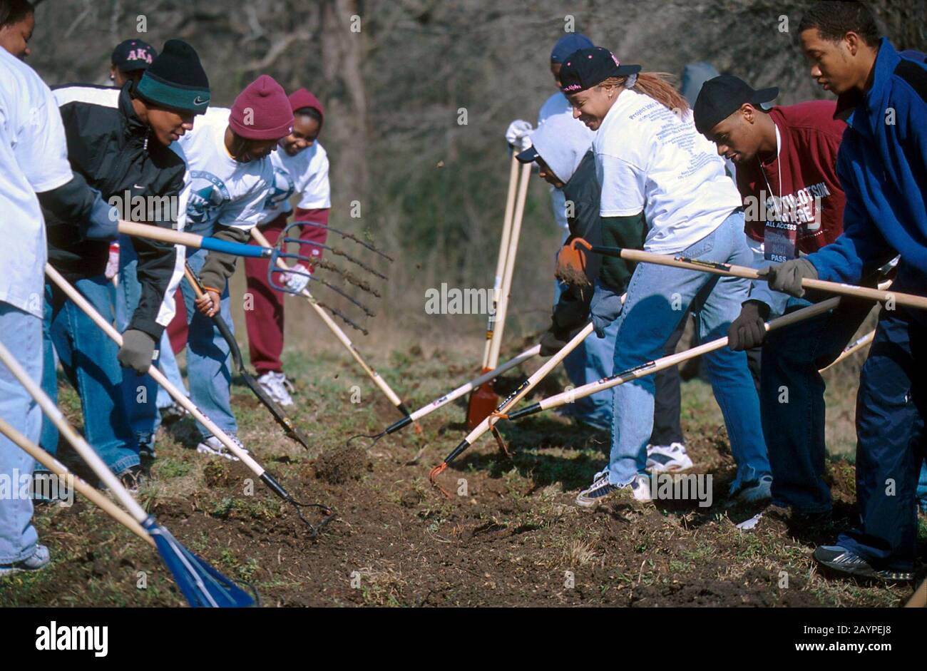 Austin, TX: 17. Februar 2001. Mitglieder einer schwarzen Bruderschaft am historisch African-American Huston-Tillotson College in Austin helfen im Rahmen von Project 2001, einer von Studenten geleiteten Säuberungsaktion für einkommensschwache Gebiete in Ost-Austin. ©Bob Daemmrich Stockfoto