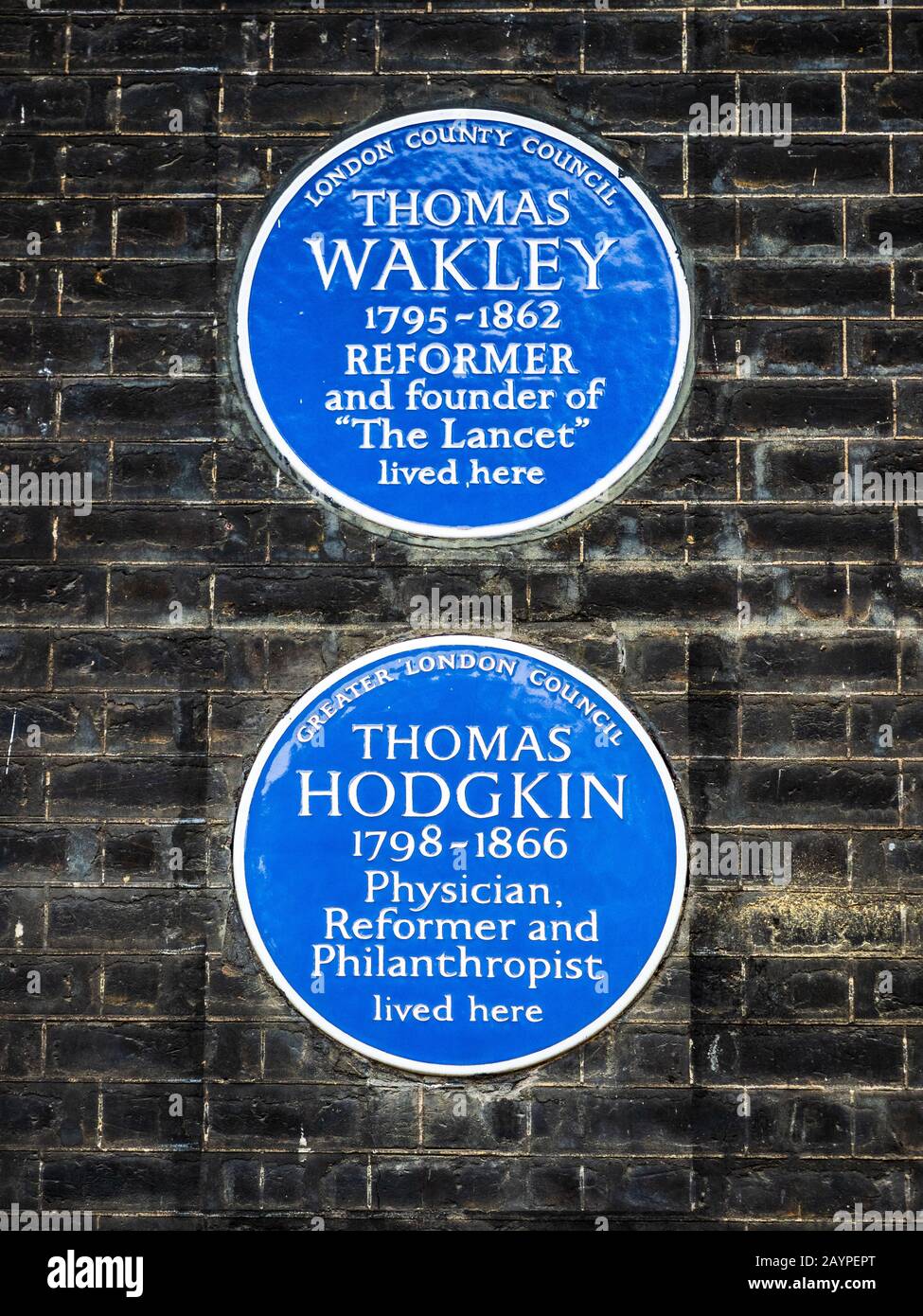 Blaue Plakette für Thomas Wakley und Thomas Hodgkin an 35 Bedford Square Bloomsbury London. Stockfoto