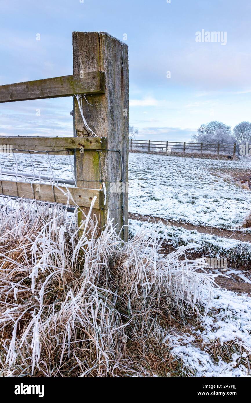 Holzfarm-Gatepost mit frostbedecktem Gras auf Leicestershire Farmland im Winter, England, Großbritannien Stockfoto