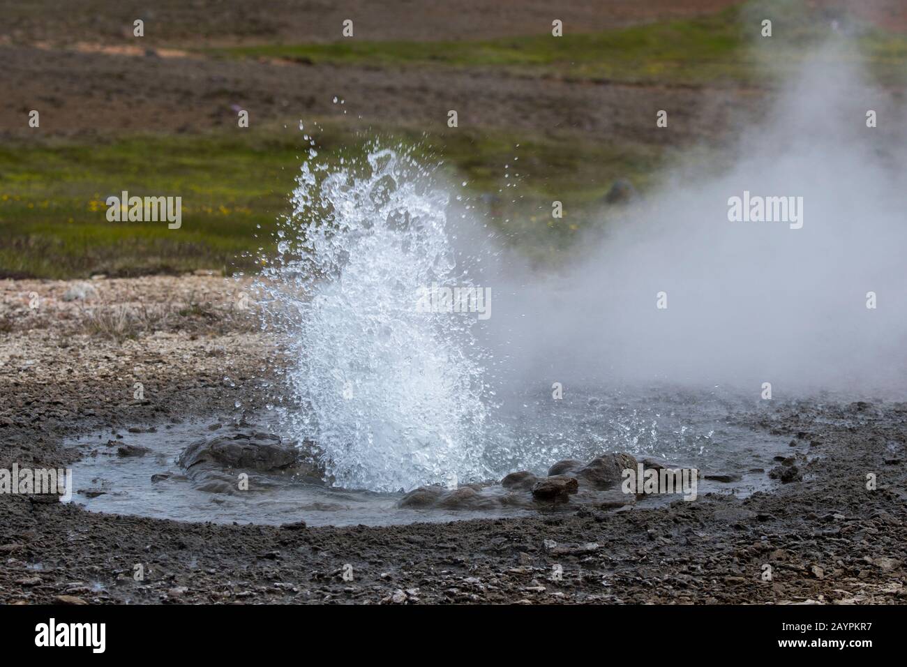 Heiße Quellen sprießen Wasser bei Hveravellir, einem geothermischen Gebiet aus Fumarolen und bunten heißen Pools im zentralen Hochland von Island. Stockfoto