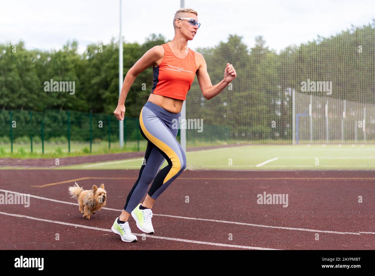 Eine Erwachsene Frau läuft mit einem kleinen Hund im Stadion. Stockfoto