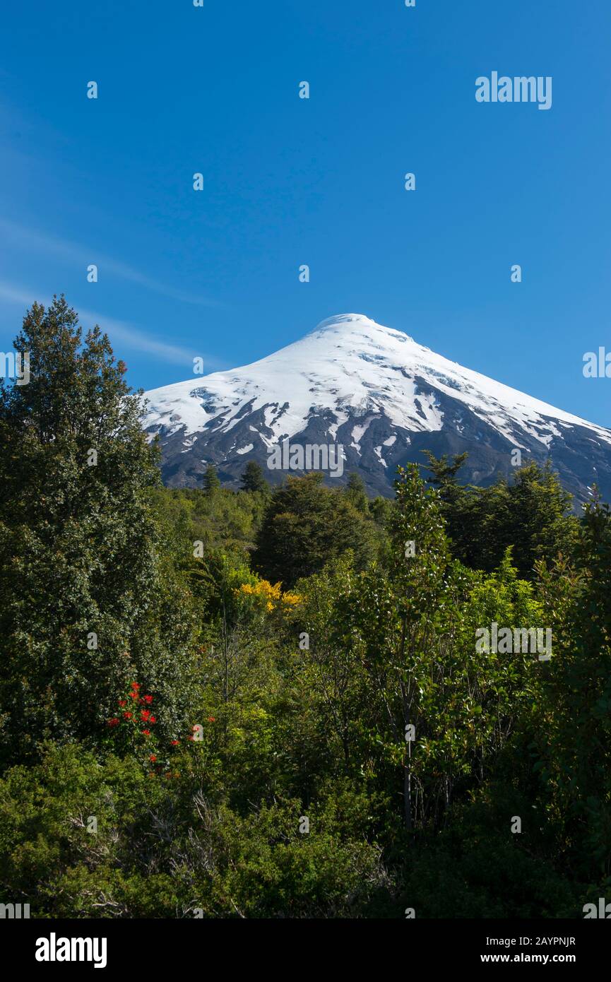 Blick von der Basis des Vulkans Osorno auf den Schnee und den Gletscher des Vulkans Osorno, der ein Stratovulkan im Süden Chiles in der Nähe von Puerto Varas und Puerto ist Stockfoto