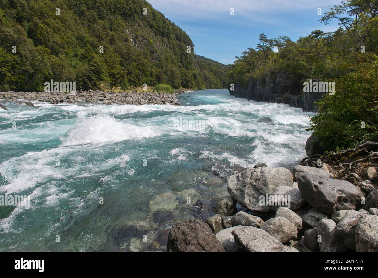 Der Fluss Petrohue im Vicente Perez Rosales Nationalpark in der Nähe von Puerto Varas und Puerto Montt im Lake District im Süden Chiles. Stockfoto