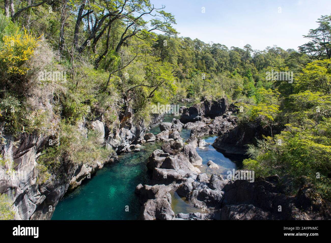 Der Fluss Petrohue im Vicente Perez Rosales Nationalpark in der Nähe von Puerto Varas und Puerto Montt im Lake District im Süden Chiles. Stockfoto