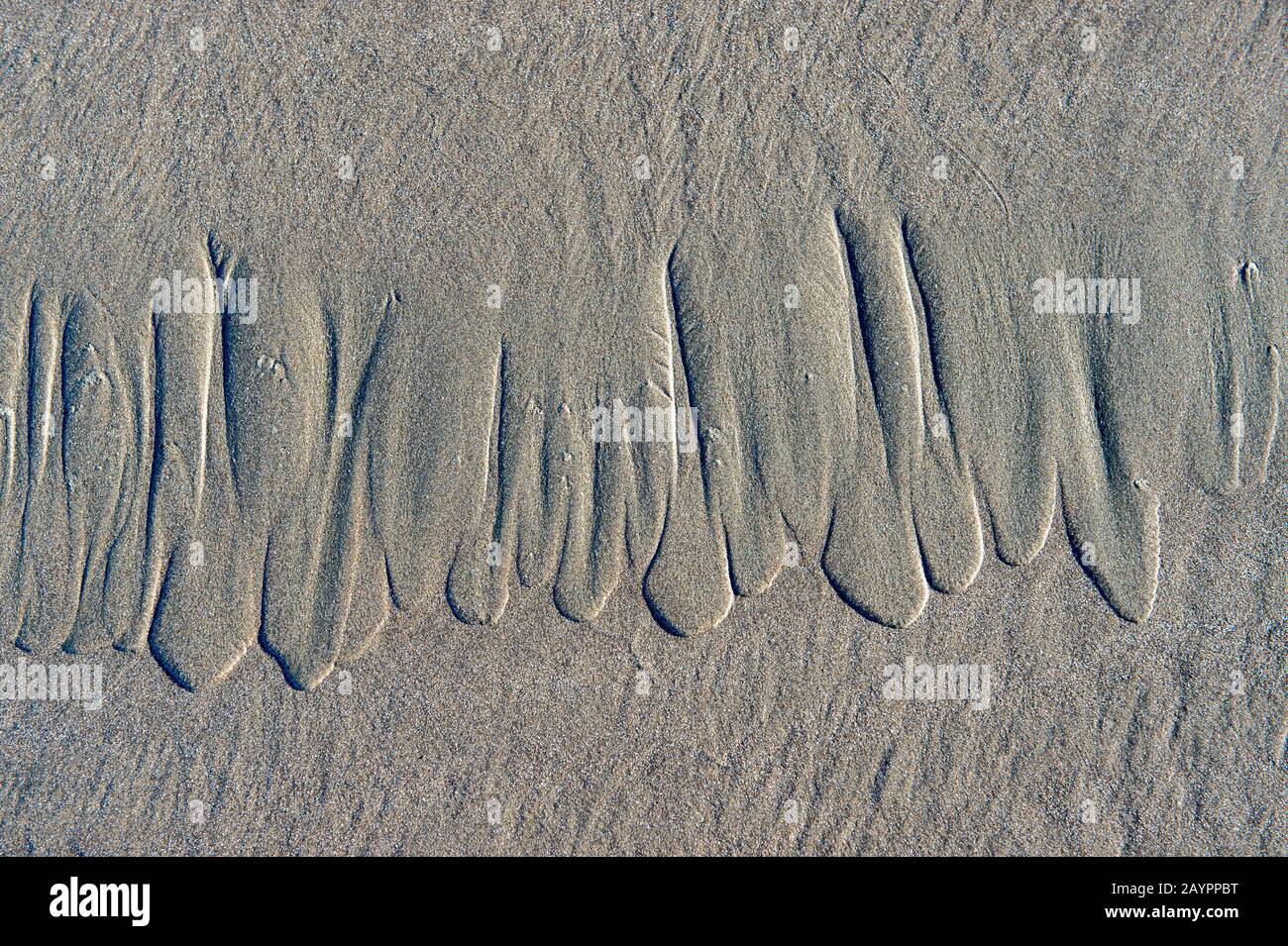 Muster im Sand am Strand bei Ebbe in der Nähe des Punihuil Wildlife Reserve auf Chiloe Island, Chile. Stockfoto