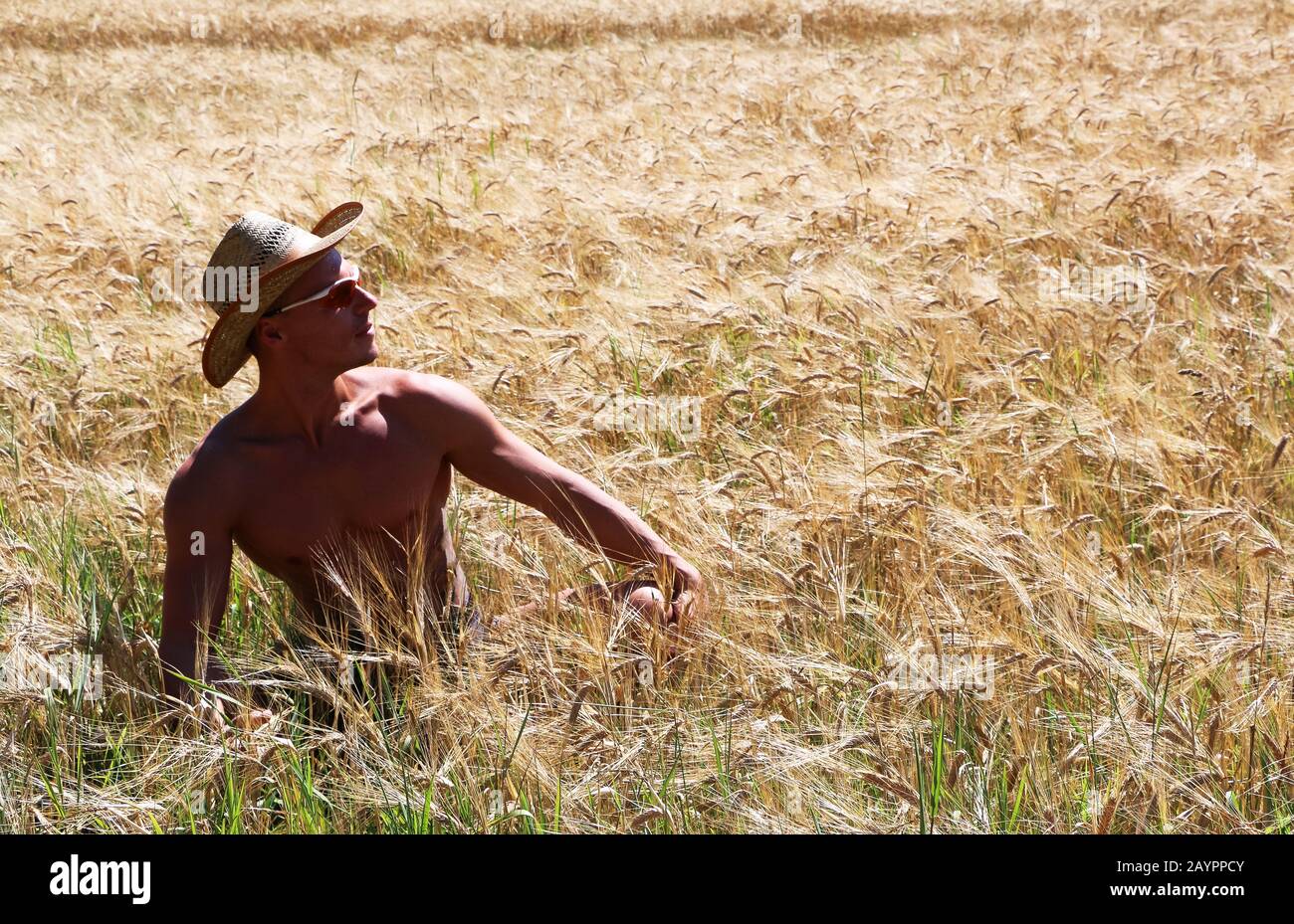 Der Mann versteckt sich in gelbem Gras. Stockfoto