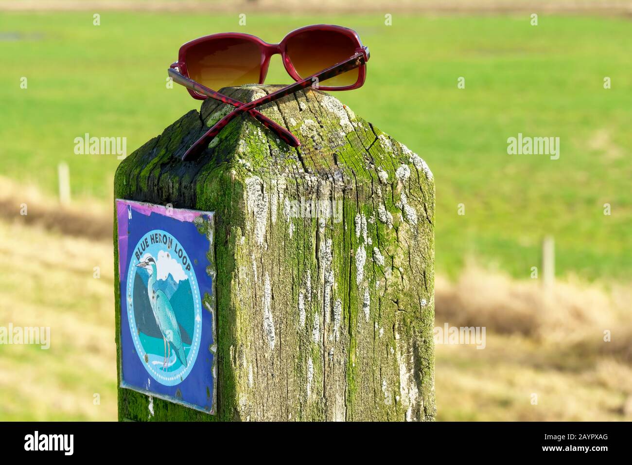 Eine Holzmarkierung entlang des Blue Heron Loop Dyke Trail in Pitt Meadows, British Columbia, Kanada. Stockfoto