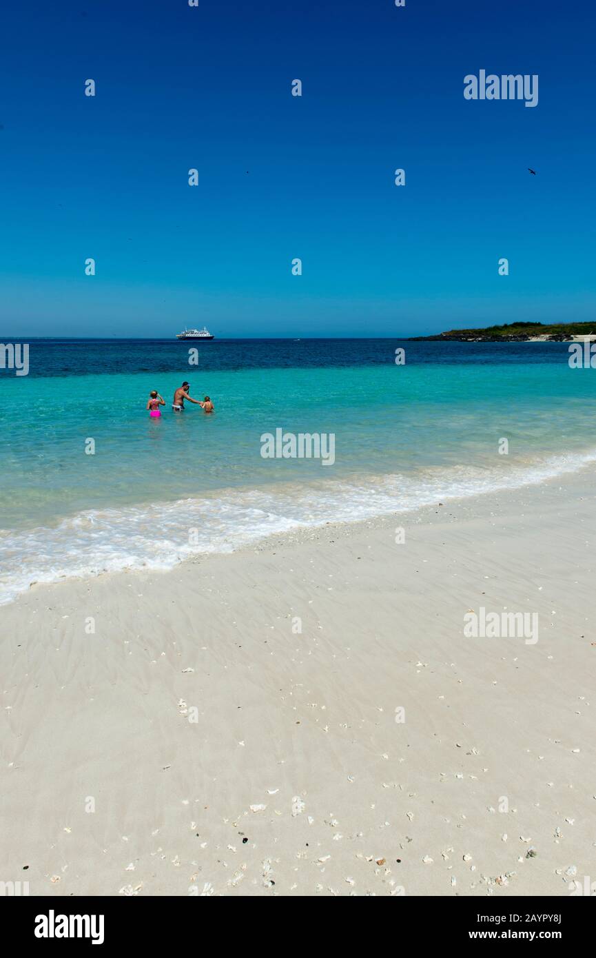 Kreuzfahrtschiff Safari Voyager vor Anker vor dem weißen Sandstrand auf der Insel Iguana in Panama. Stockfoto