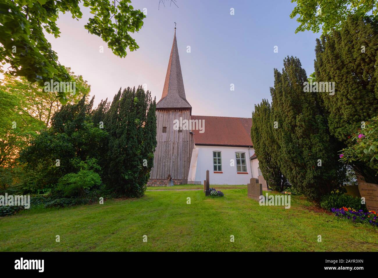Gemeine Eibe, englische Eibe, Europische Eibe (Taxus baccata), hundert  Jahre alte Eibe auf dem Kirchhof in Flintbek, 1220 erbaute Kirche,  Deutschland, Flintbek Stockfotografie - Alamy