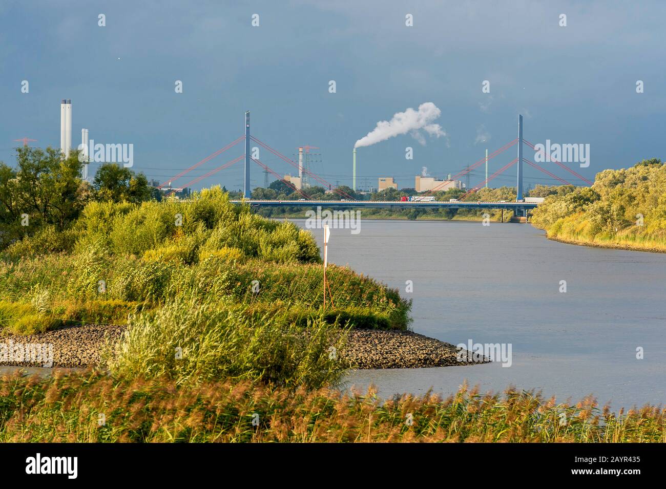 Blick vom Elbdeich auf die Elbe, Deutschland, Hamburg, Hamburg-Moorwerder Stockfoto