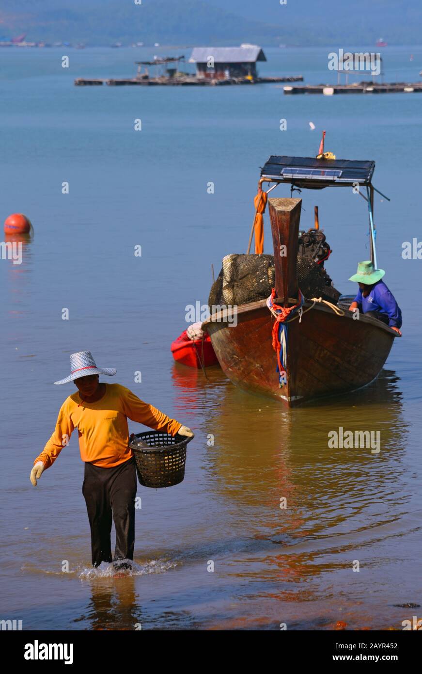 Fisher man at Work, Thailand, Kho Yoa Noi Stockfoto