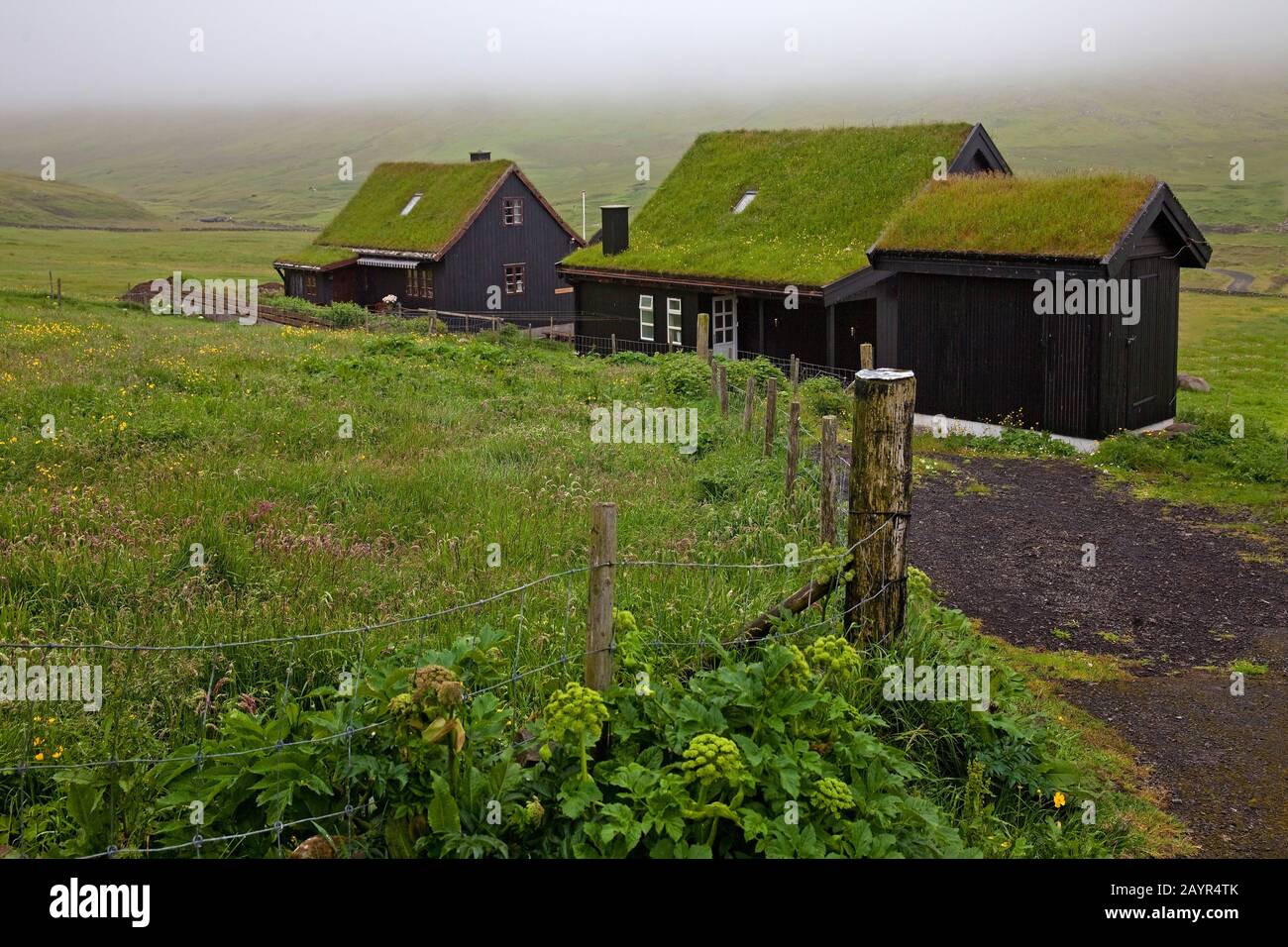 Traditionelle Holzhäuser mit Soddächern, Färöer, Streymoy, Torshavn Stockfoto