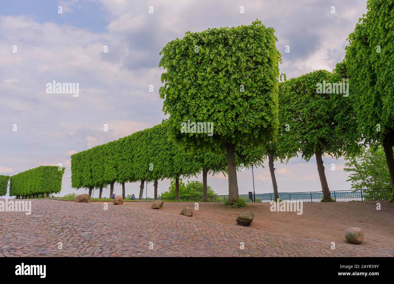 Linde garten Fotos und Bildmaterial in hoher Auflösung Alamy