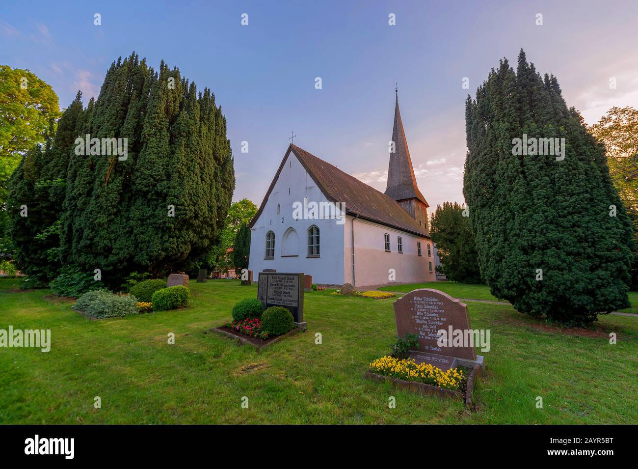 Alte eibe -Fotos und -Bildmaterial in hoher Auflsung  Alamy
