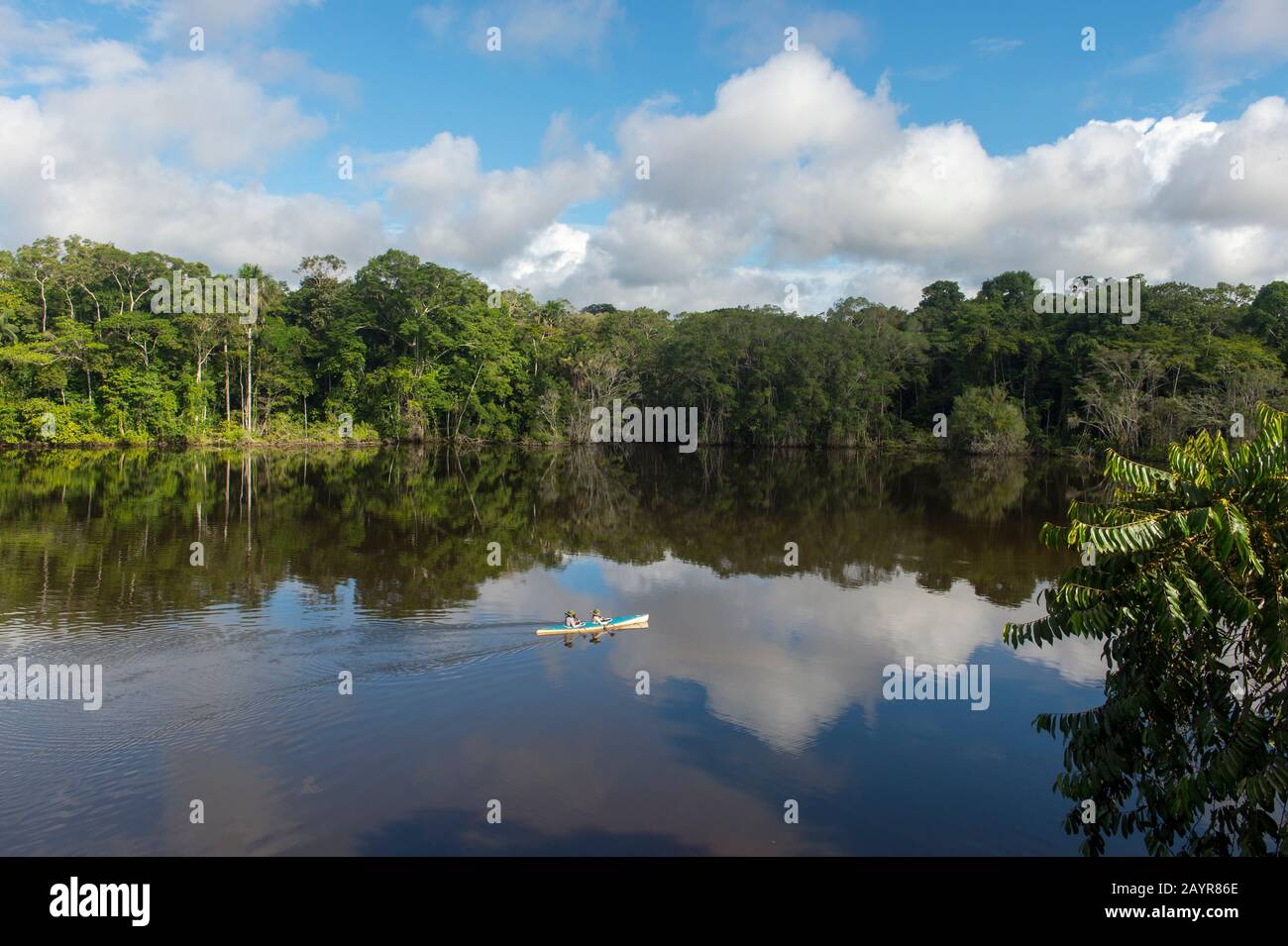Kajaktouren auf dem Garzacocha-See im Regenwald in der La Selva Lodge in der Nähe von Coca, Ecuador. Stockfoto