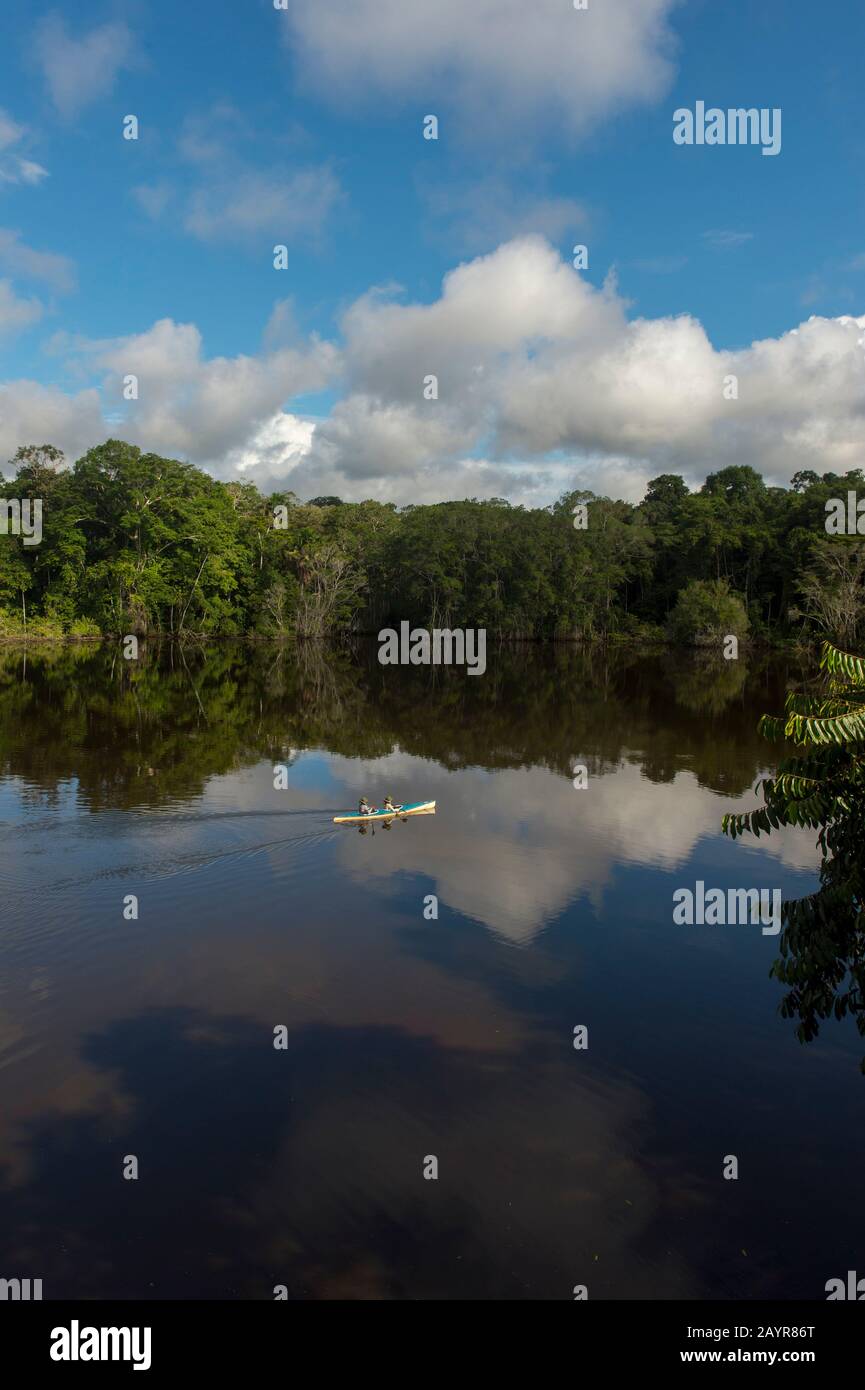 Kajaktouren auf dem Garzacocha-See im Regenwald in der La Selva Lodge in der Nähe von Coca, Ecuador. Stockfoto