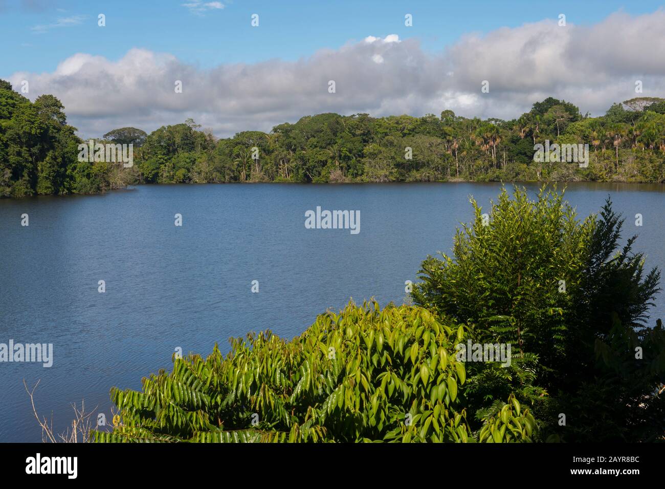 Blick auf den Garzacocha-See im Regenwald der La Selva Lodge in der Nähe von Coca, Ecuador. Stockfoto