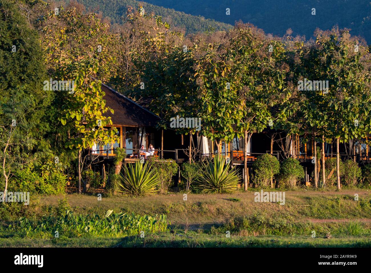 Blick auf die am See gelegenen Bungalows im Villa Inle Resort and Spa am Inle Lake, Myanmar. Stockfoto