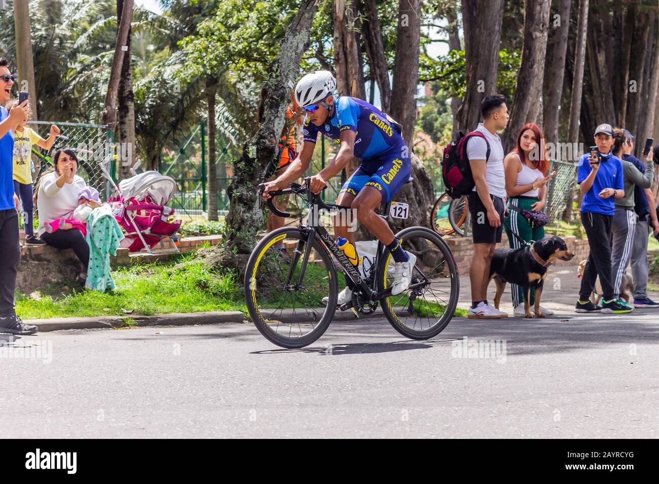 Sechste und letzte Etappe der Tour Kolumbien 2020, Test 2.1 der internationalen radsport-union, der Internationalen Radfahrer-Gewerkschaft, der Rennradsportler, durch die Straßen von Bogotá. Februar 2020 Stockfoto