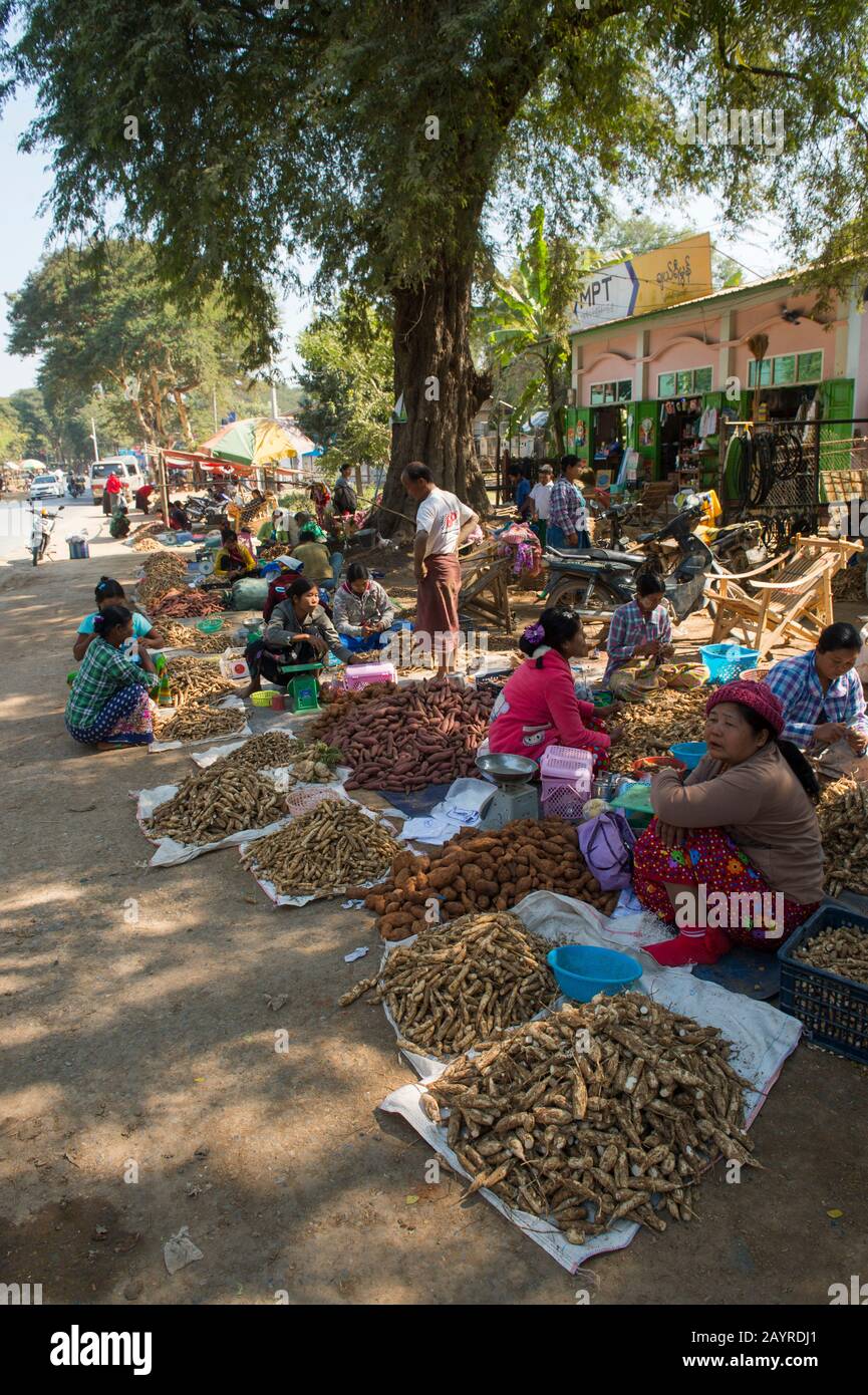Frauen, die Wurzeln von Cluster-Bohnen, Süßkartoffeln und eine Art Rettich auf einem Bauernmarkt in Myinchan, einem Dorf entlang der Straße von Bagan zum Menschen, verkaufen Stockfoto