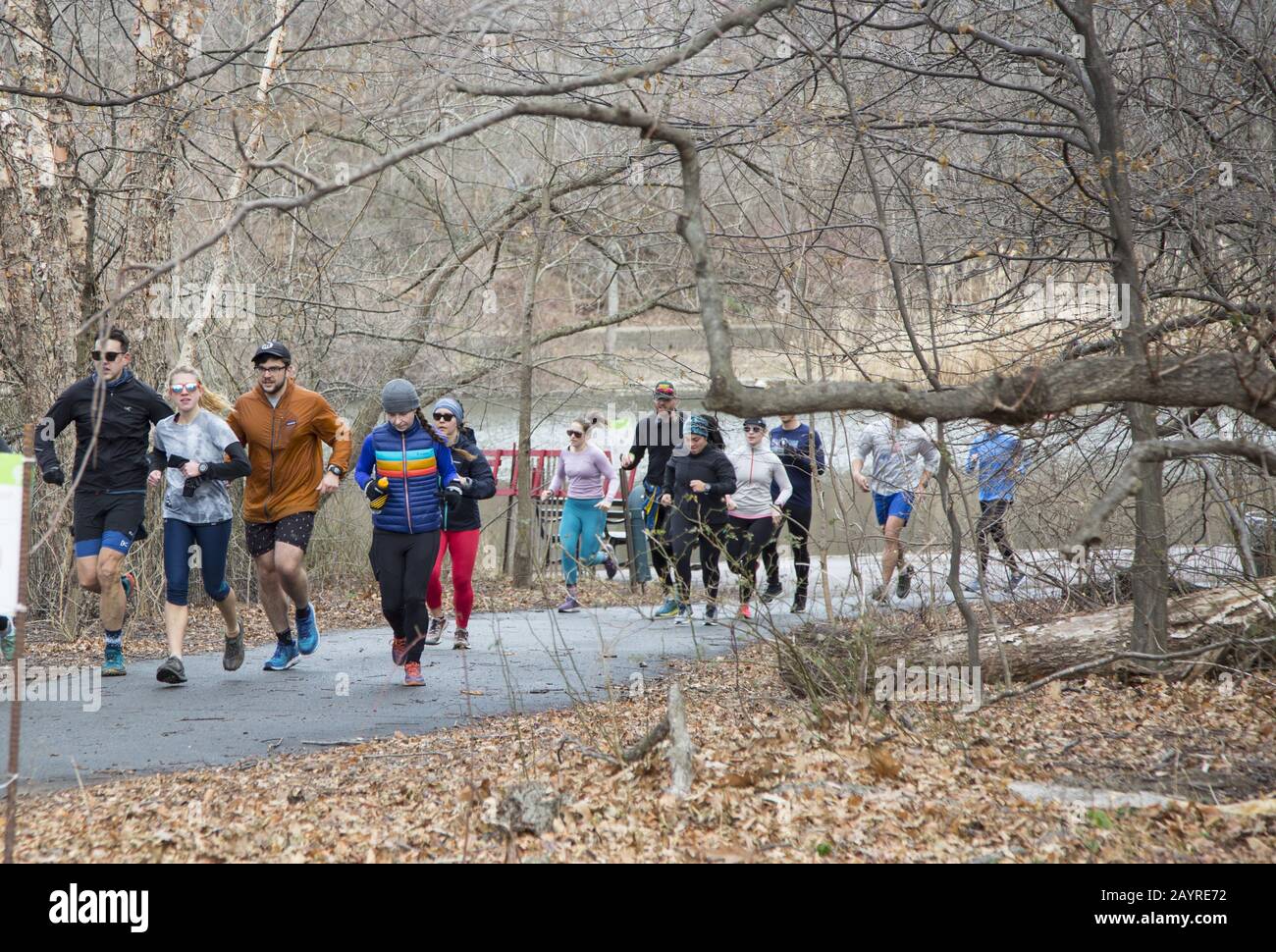 Die Jogging Meetup Group führt an einem Wintertag in Prospect Park, Brooklyn, New York eine Laufveranstaltung durch. Stockfoto