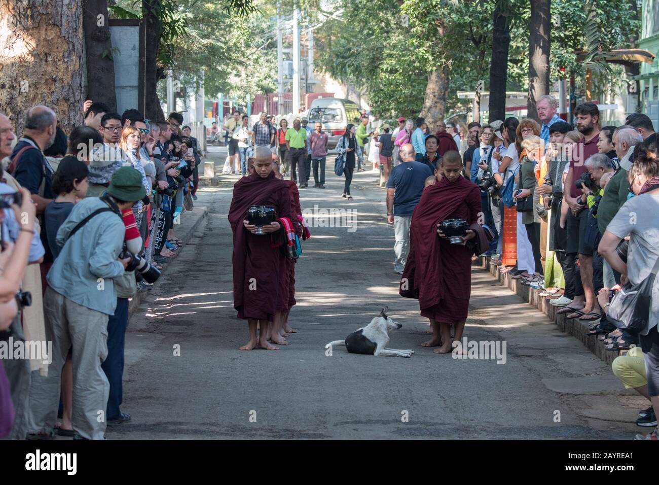 Buddhistische, von Hunderten von Touristen umgebene Mönch zerhaschen ihre Almosen (Mahlzeit) im Mahagandayon-Kloster in Mandalay, Myanmar. Stockfoto