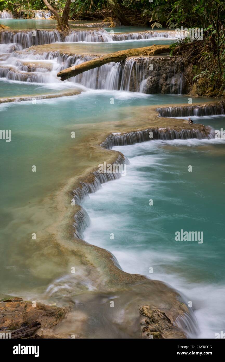 Kaskaden und türkisblaue Pools der Kuang Si Falls in der Nähe von Luang Prabang in Laos. Stockfoto