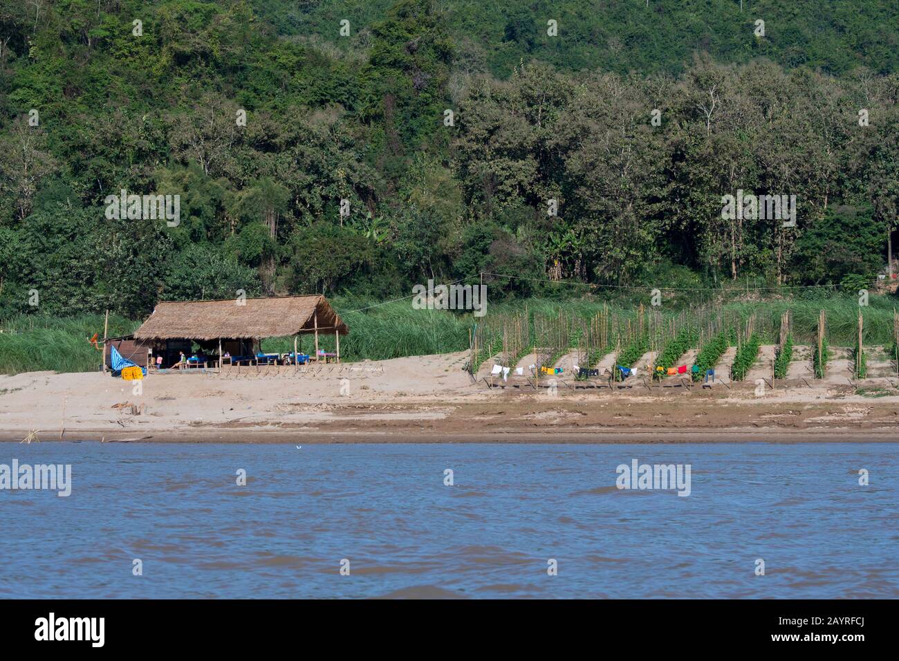 Blick auf die Trockenlegung von Wäsche und Getreide, die am Flussufer des Mekong in der Zeit der niedrigen Flussebenen nahe Luang Prabang in Zentral-Laos gepflanzt wurde. Stockfoto