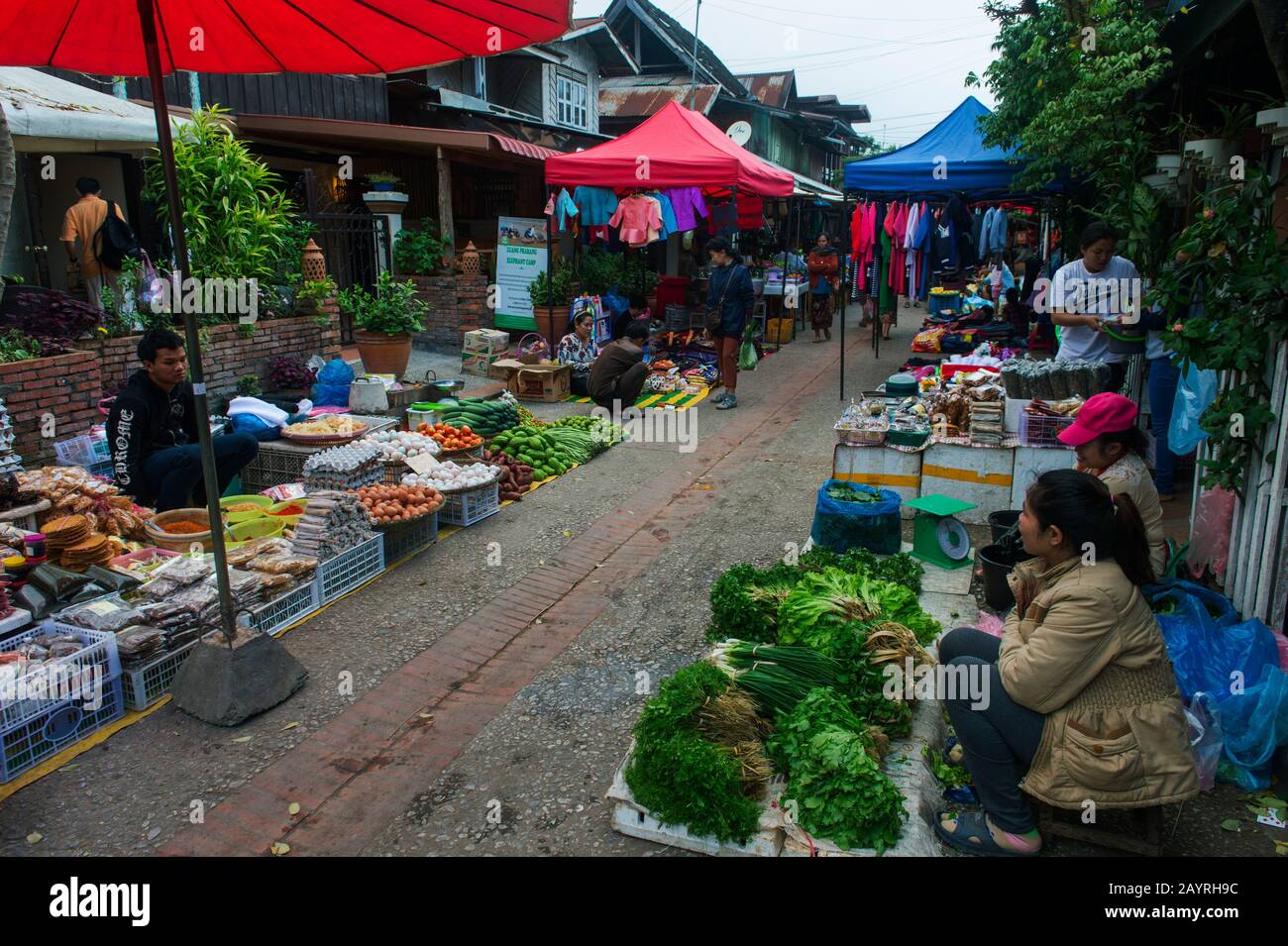 Eine Szene vom frühen Morgenmarkt in der UNESCO-Welterbe-Stadt Luang Prabang in Zentral-Laos. Stockfoto Eine Szene vom frühen Morgenmarkt in der UNESCO-Welterbe-Stadt Luang Prabang in Zentral-Laos. Stockfoto