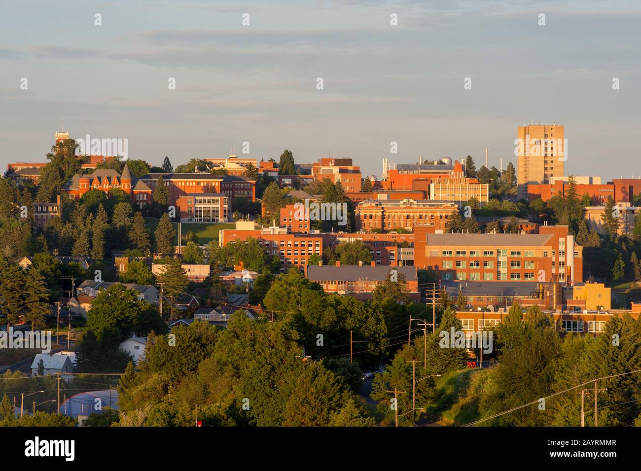Blick auf die Washington State University in Pullman, Washington State, USA. Stockfoto
