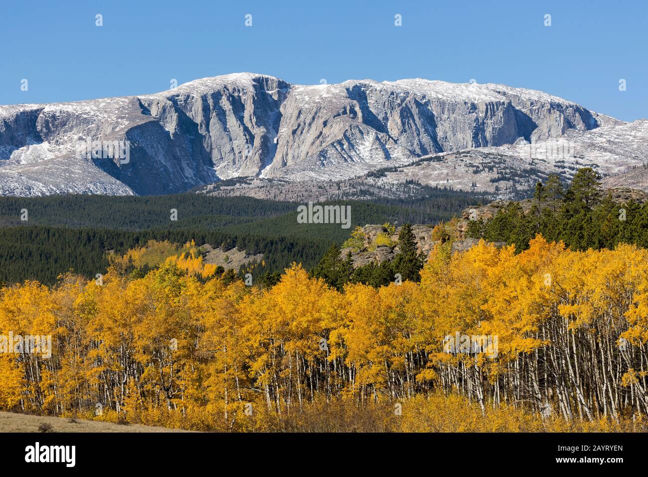 WY02477-00...WYOMING - Cloud Peak von der Circle Park Road im Bighorn National Forest aus gesehen. Stockfoto