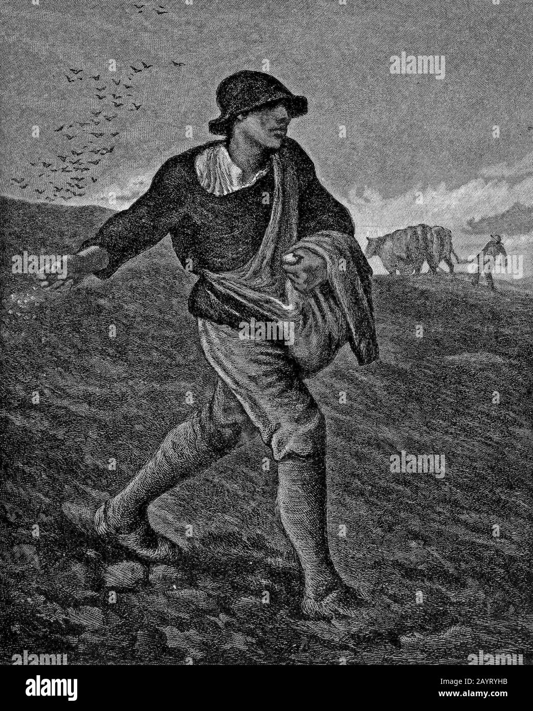 Illustration des Gemäldes "Der Sämann" von Jean-François Millet (1814-1875), einem französischen Maler und einer der Gründer der Barbizon-Schule. Millet ist für seine Szenen von Bauernbauern bekannt und wird als Teil der Kunstbewegung Des Realismus kategorisiert. Stockfoto