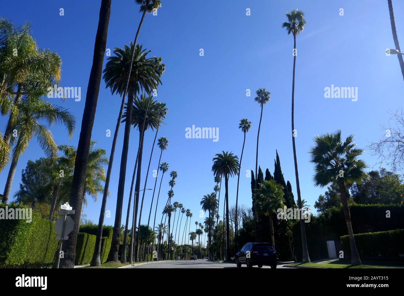 Beverly Hills, Kalifornien, USA 17. Februar 2020 EINE allgemeine Ansicht der Atmosphäre von Palmen am 17. Februar 2020 in Beverly Hills, Kalifornien, USA. Foto von Barry King/Alamy Stock Photo Stockfoto