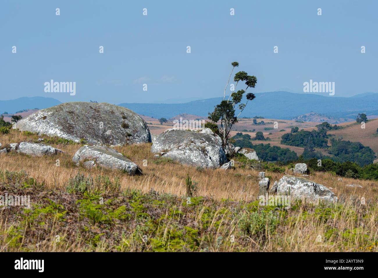 Blick auf die Felsen im Grasland und die sanften Hügel des Nyika-Plateaus, Nyika-Nationalpark in Malawi. Stockfoto