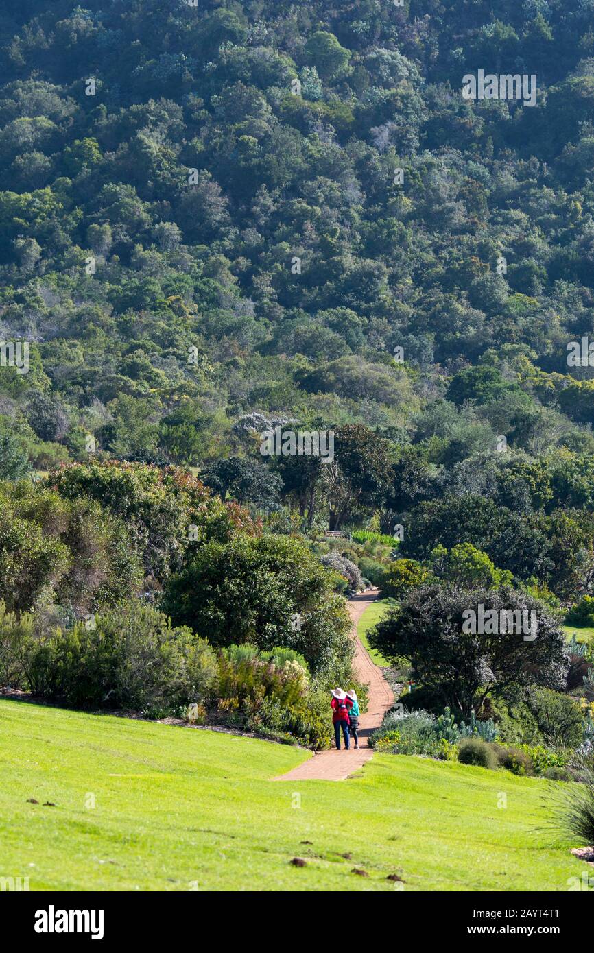 Menschen im Kirstenbosch National Botanical Gardens in Kapstadt, Südafrika. Stockfoto