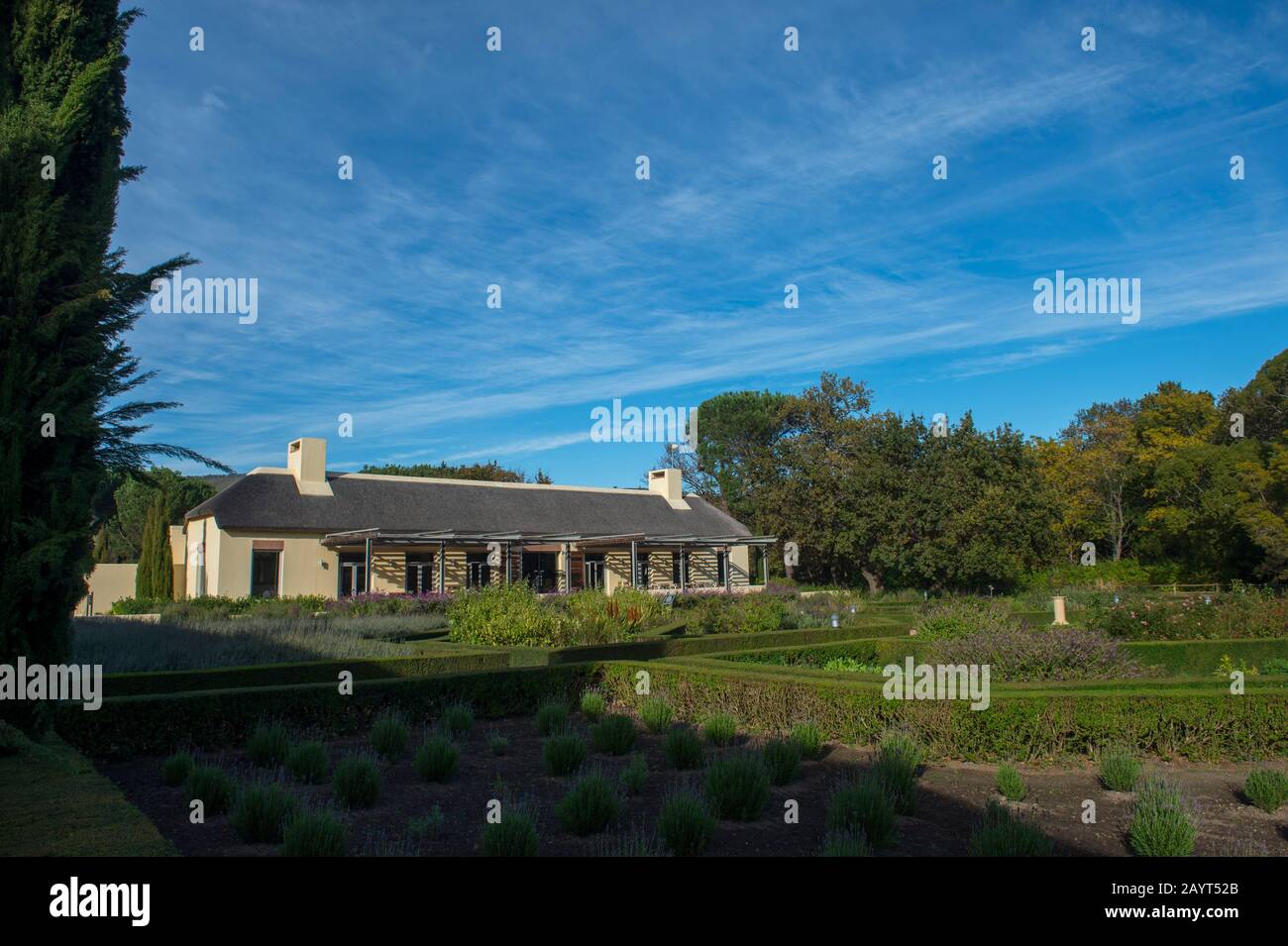 Der Garten bei Vergelegen, einem historischen Weingut in Somerset West, in der Provinz Westkaps in Südafrika in der Nähe von Kapstadt. Stockfoto