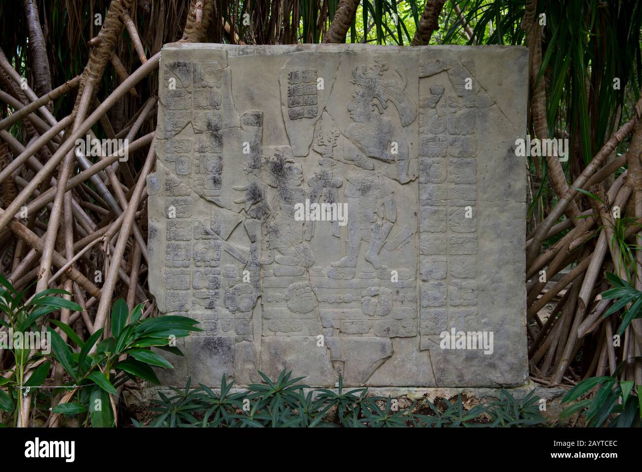 Archäologische prähispanische Maya-Nachbildung einer Tablette aus Palenque im Cozumel Chankanaab National Park auf Cozumel Island bei Cancun im Bundesstaat Stockfoto