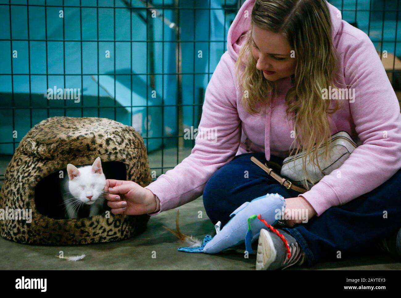 (200217) - ABBOTSFORD, 17. Februar 2020 (Xinhua) - eine Frau Haustiere eine Katze während einer Tierschau in Abbotsford, Kanada, 16. Februar 2020. Die jährliche Tierschau zog Zehntausende Tierfreunde an. (Foto von Liang Sen/Xinhua) Stockfoto