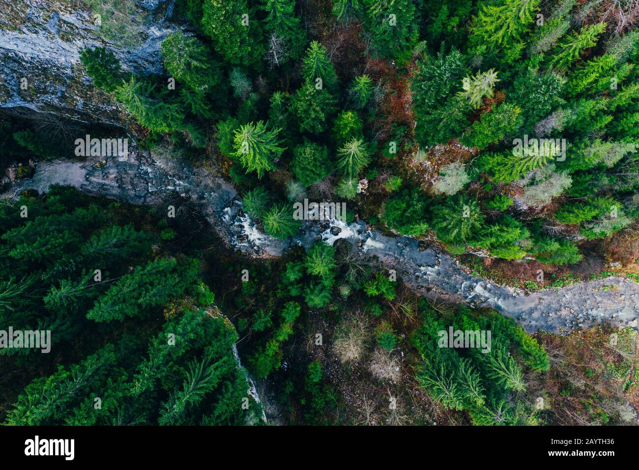 Der Creek schlängelt sich durch Klippen und Wälder, die von einer Drohne aus gesehen werden Stockfoto