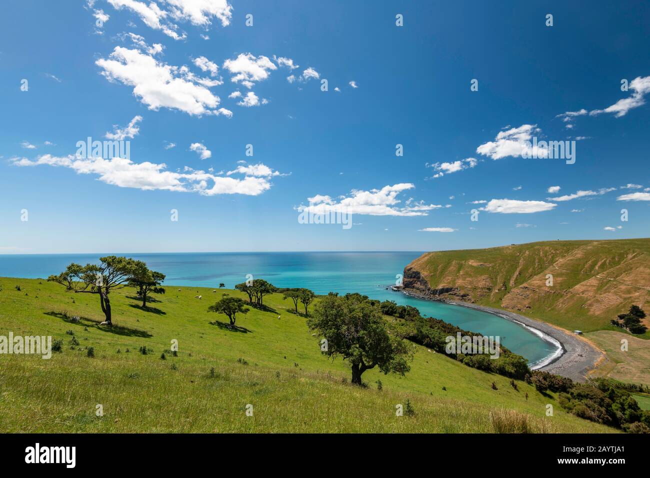 Stony Beach, Banks Peninsula, Akaroa, in der Nähe von Christchurch, Canterbury, South Island, Neuseeland Stockfoto