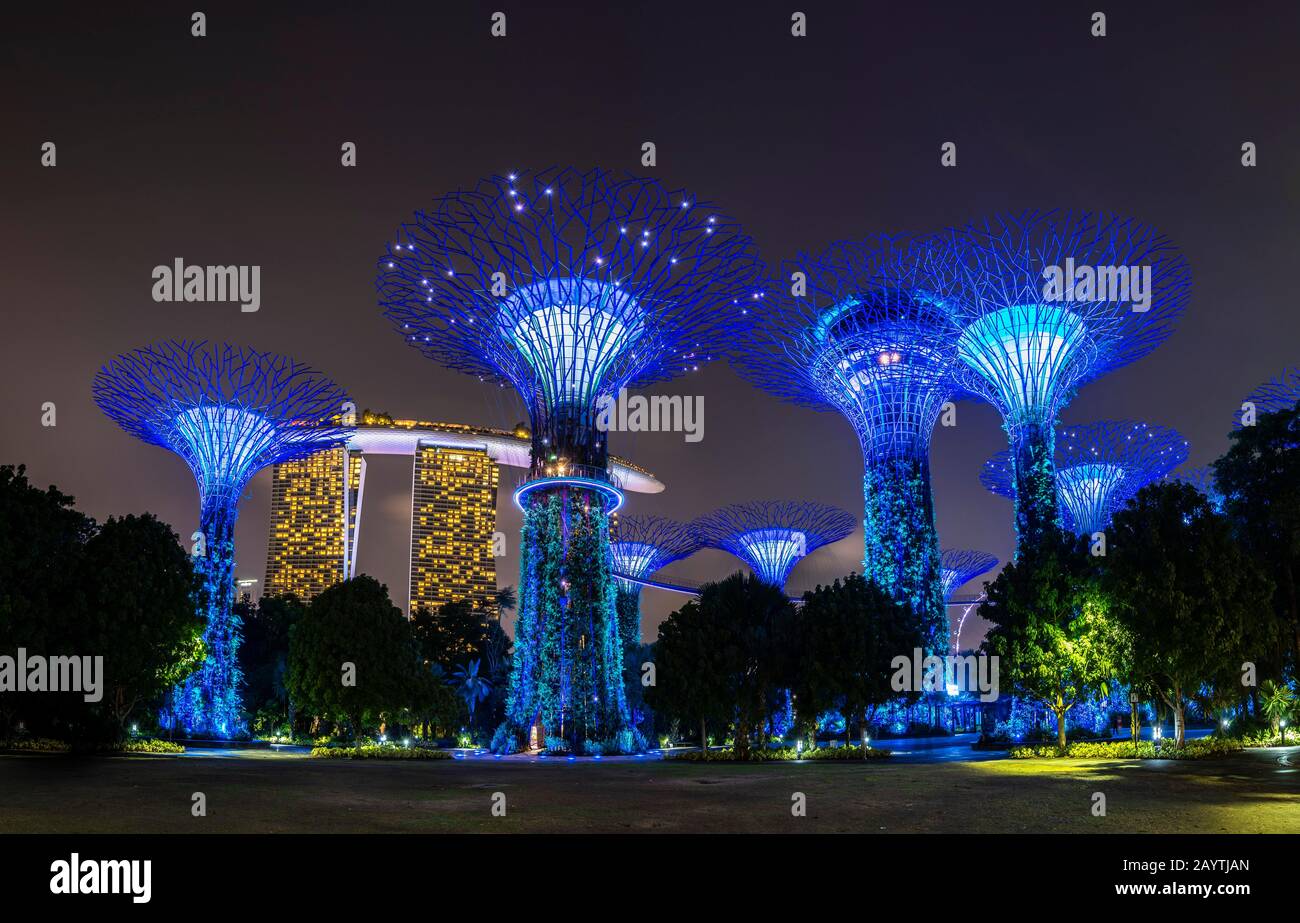 Supertrees in der Nacht, Marina Bay Sands Hotel im Hintergrund, Supertree Grove, Gardens by the Bay, Singapur Stockfoto