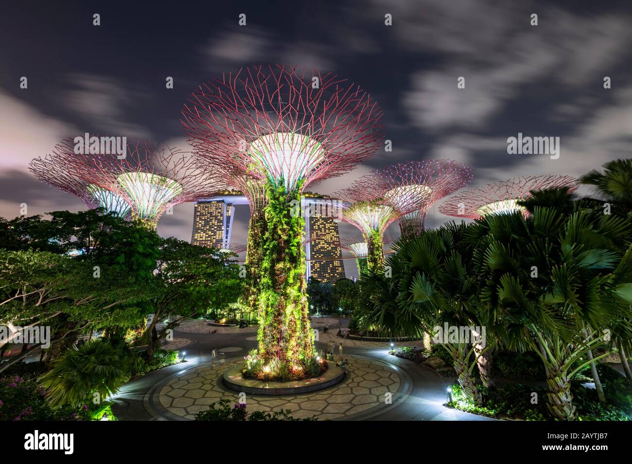 Supertrees in der Nacht, Marina Bay Sands Hotel im Hintergrund, Supertree Grove, Gardens by the Bay, Singapur Stockfoto