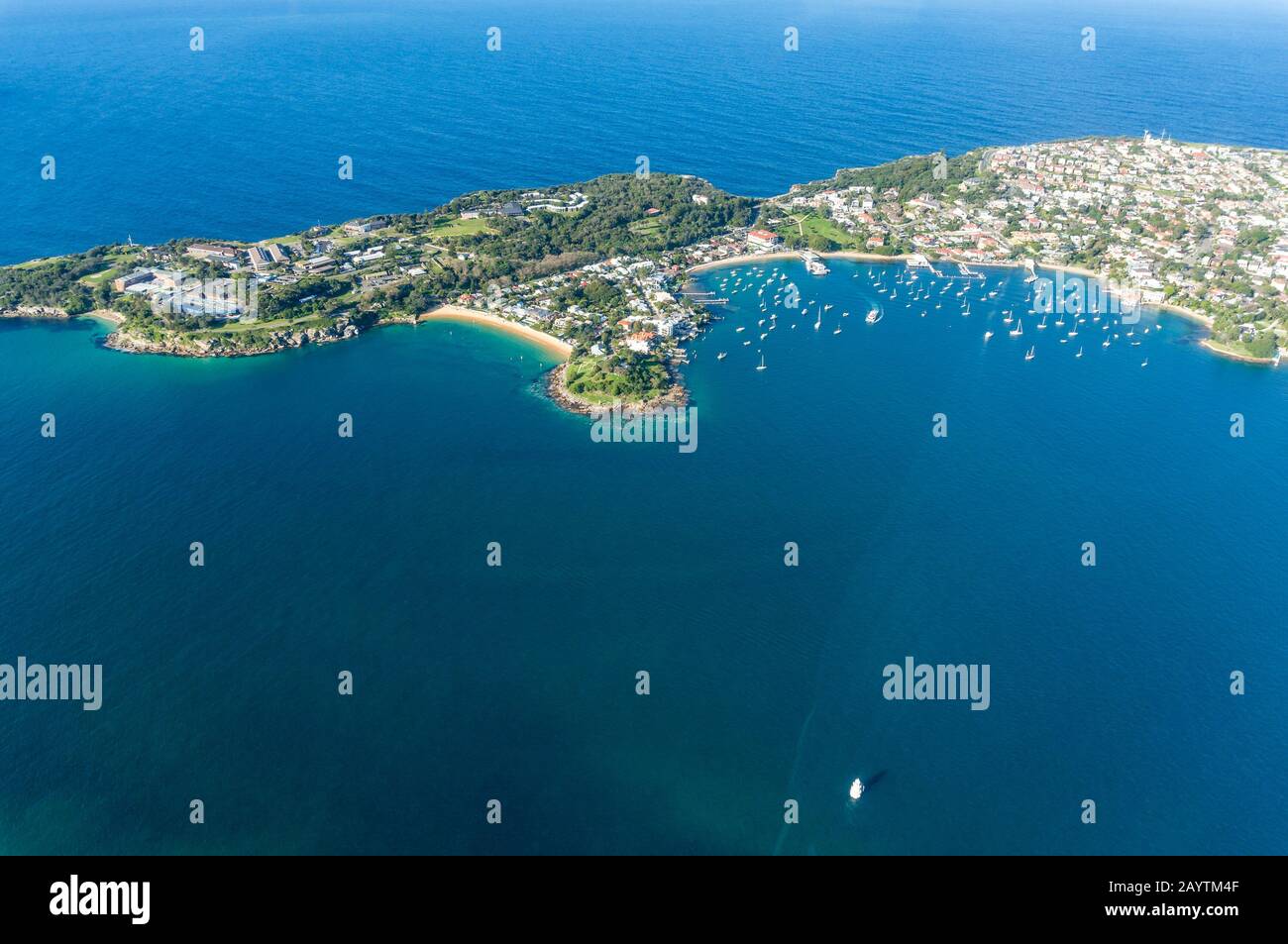 Luftaufnahme des Vororts Vacluse in Sydney mit Wohnhäusern, Stränden und Watsons Bay mit Yachten und Booten. Drohnenansicht von Sydney Immobilien Resid Stockfoto